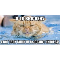 Анекдоты про тапки