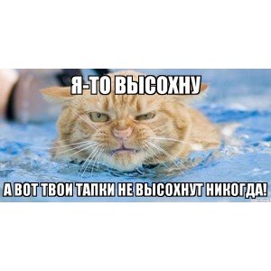 Анекдоты про тапки Анекдоты про тапки