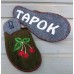 Кімнатні жіночі паркетні войлочні тапочки TapOK (модель T507gr)