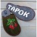 Комнатные женские паркетные войлочные тапочки TapOK (модель T507gr)
